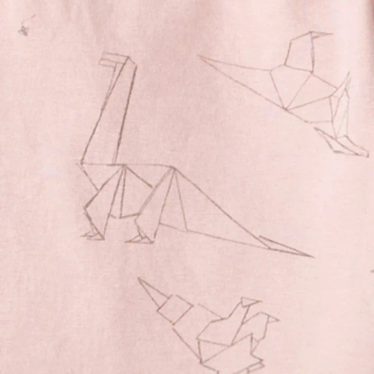 Origami Dinos Girl Tee & Pants Set