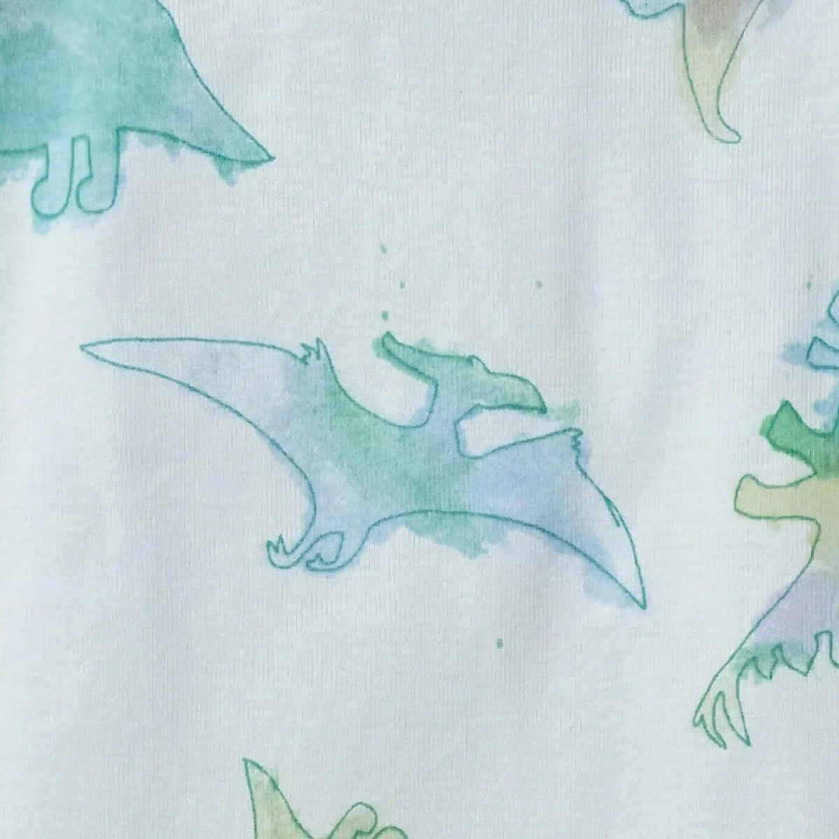 Watercolor Dinos Organic Baby Sleeper Romper - Rain