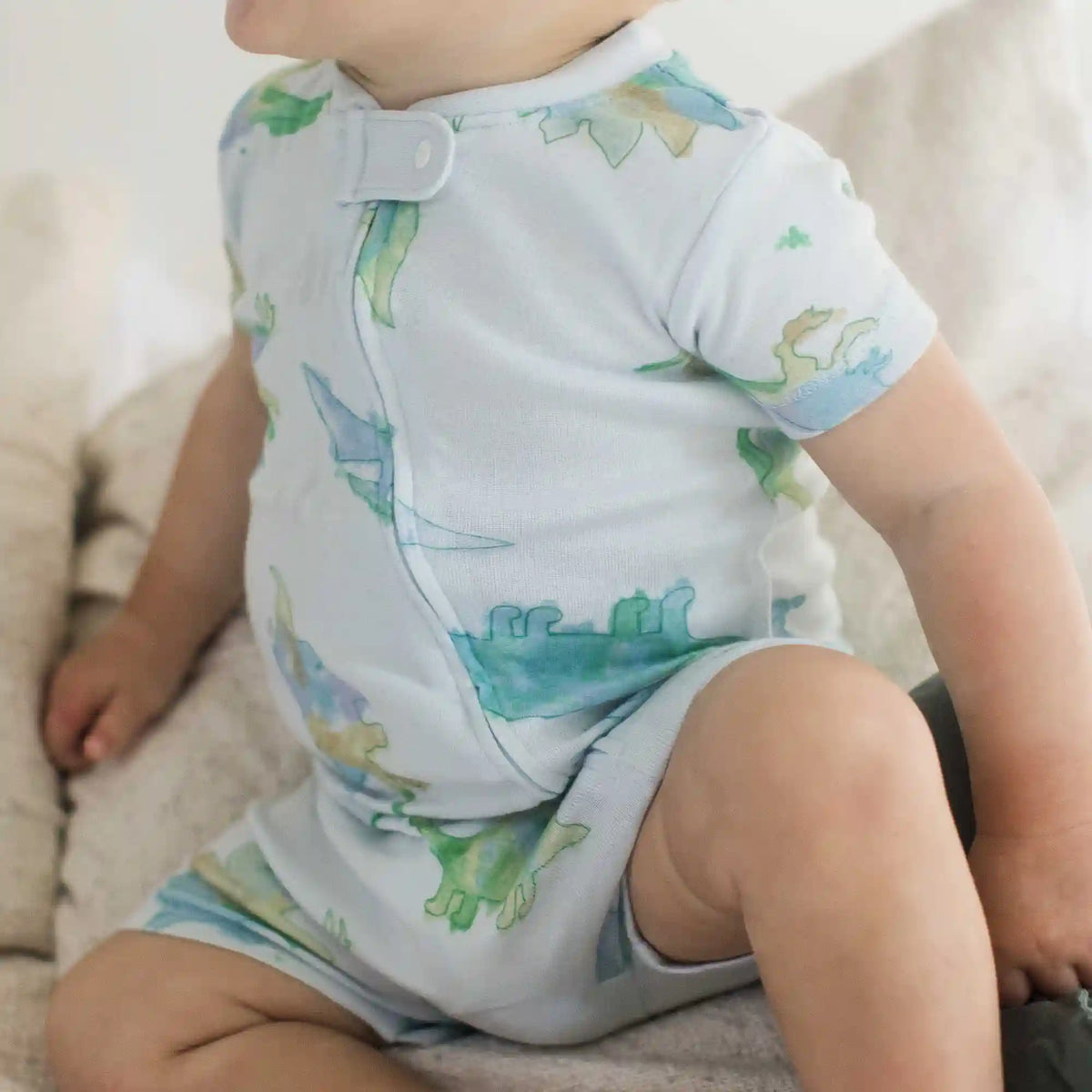 Watercolor Dinos Organic Baby Sleeper Romper - Rain